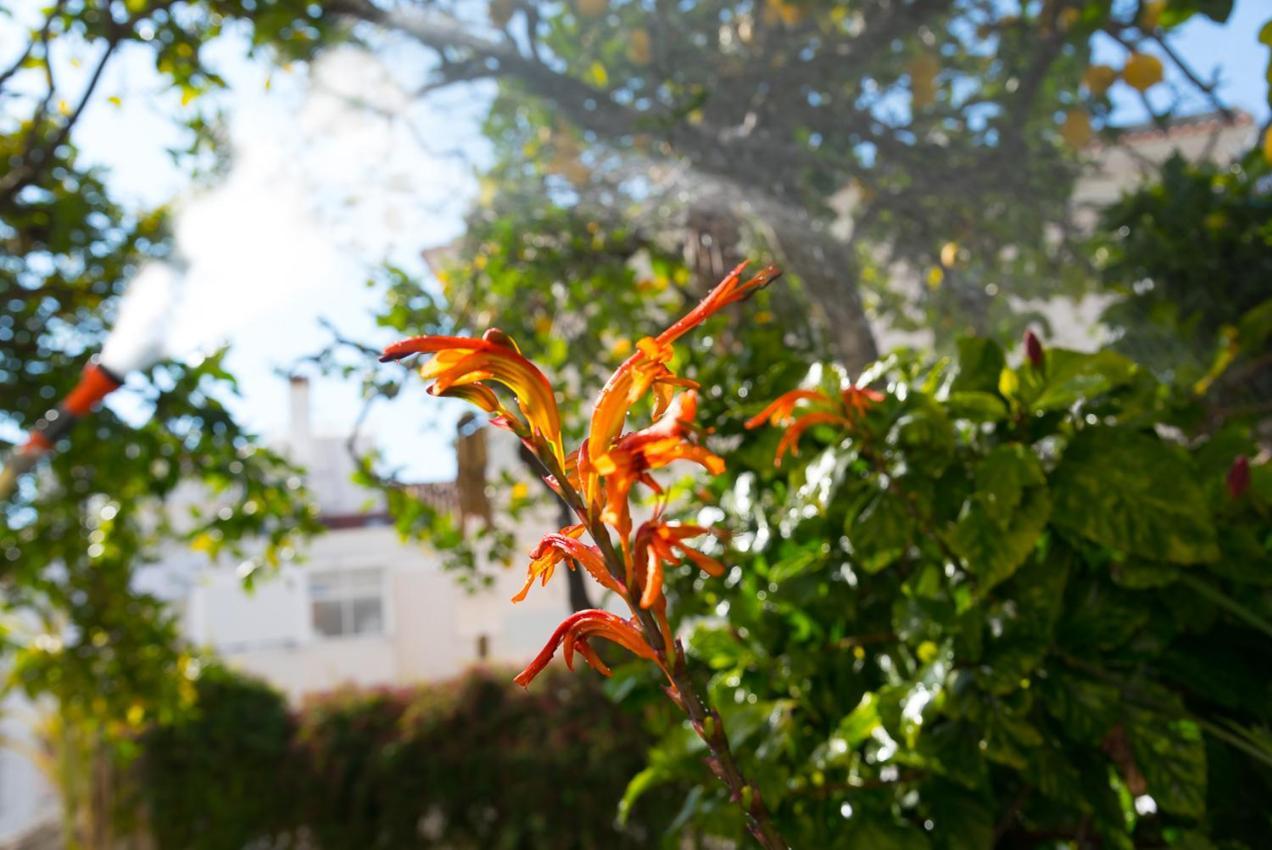 Apartmán Flat With A Garden In Belem Lisboa Exteriér fotografie