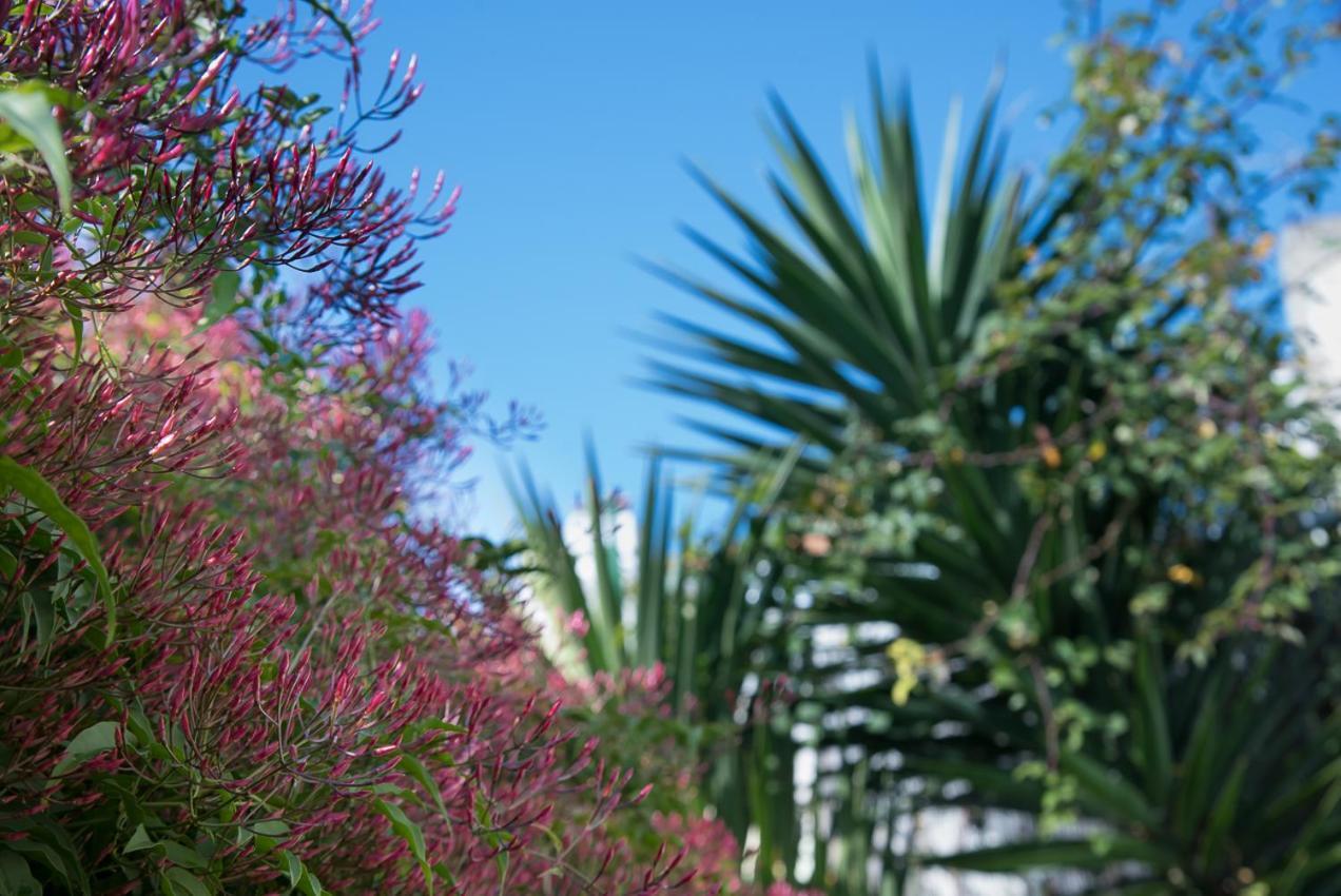 Apartmán Flat With A Garden In Belem Lisboa Exteriér fotografie